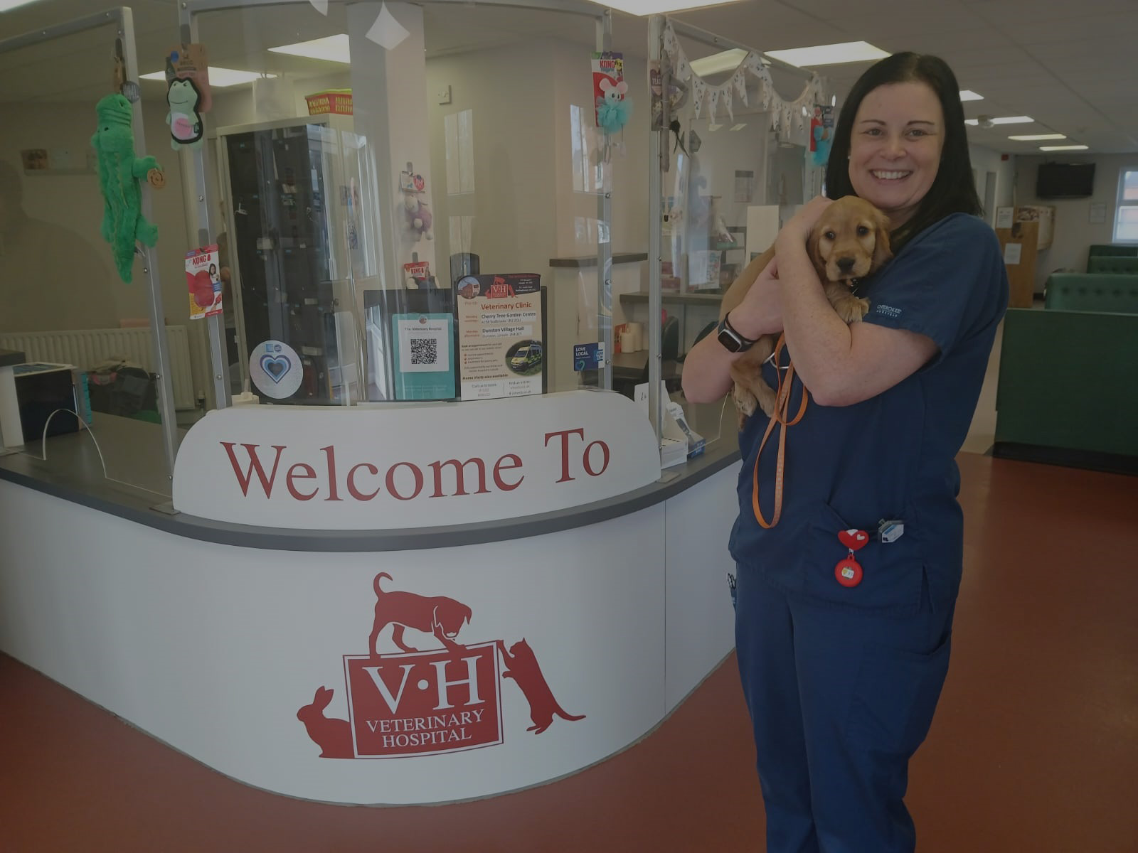 The Veterinary Hospital - Vets Lincoln, photo 6
